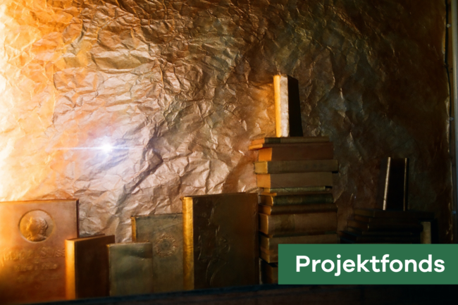 Projektfonds menhir