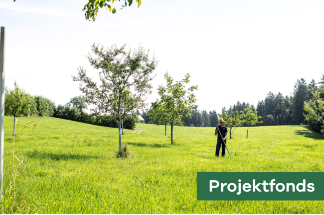 Projektfonds Ökodorf Rennrüti