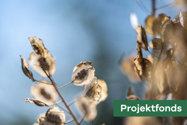 Gelebter Wandel 1